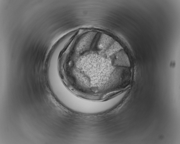 X0000112810876200909111257