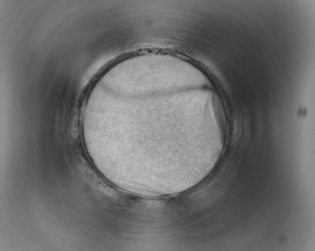 X0000112810878200909111257