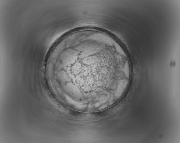 X0000112810879200909111257