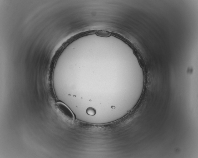 X0000112810880200909111257