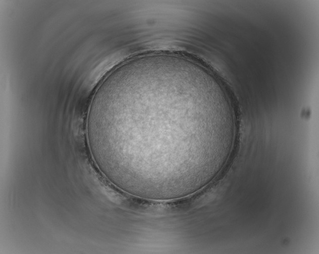 X0000112810881200909111257