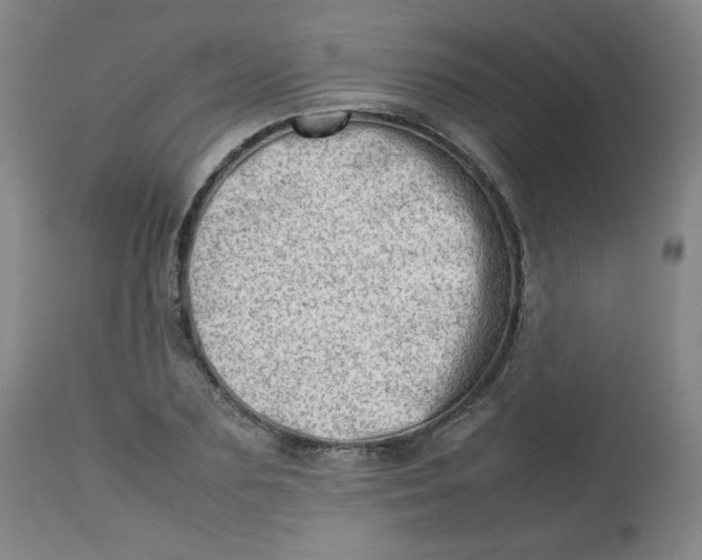 X0000112810883200909111257