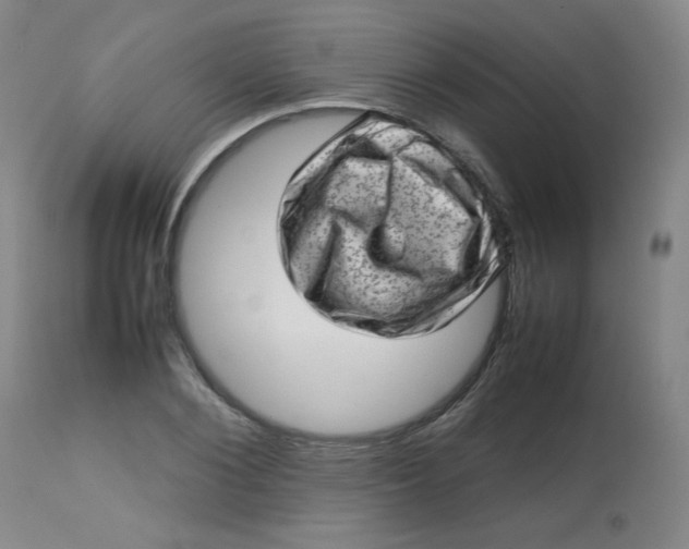 X0000112810884200909111257