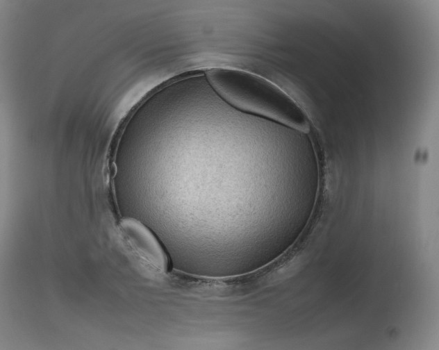 X0000112810885200909111257