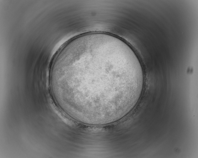 X0000112810886200909111257