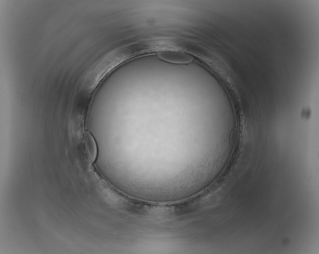 X0000112810889200909111257