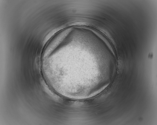 X0000112810890200909111257