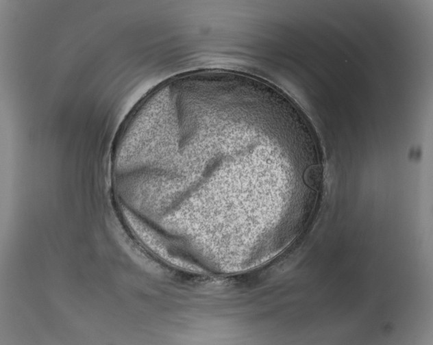 X0000112810891200909111257