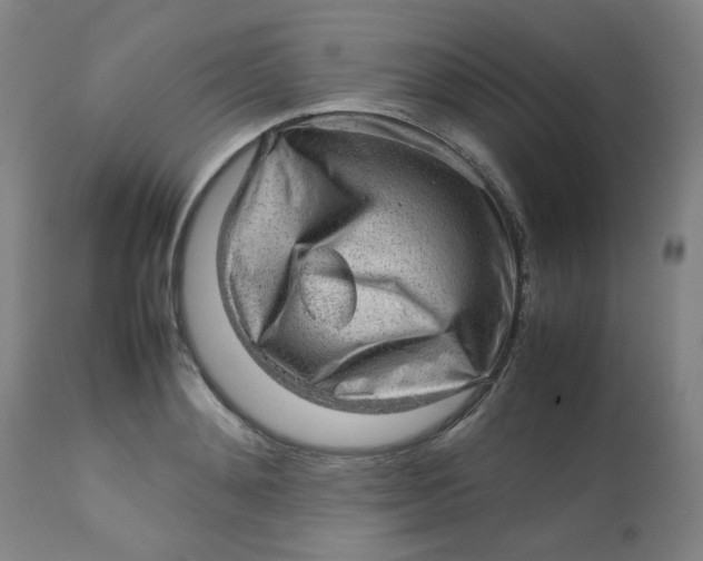 X0000112810892200909111257