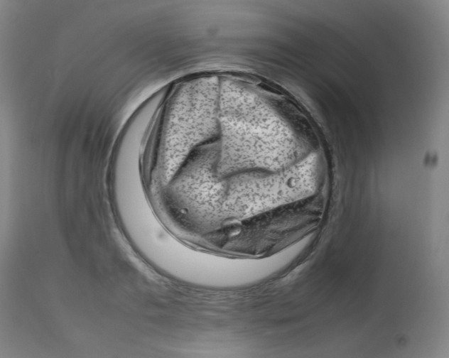 X0000112810893200909111257