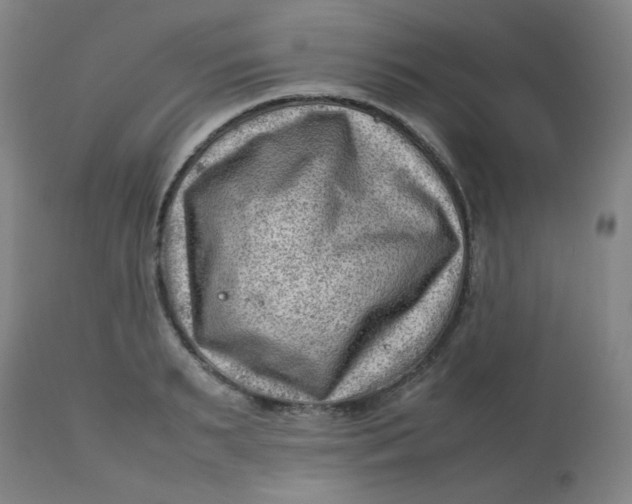 X0000112810895200909111257