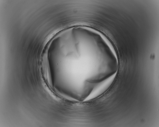 X0000112810898200909111257