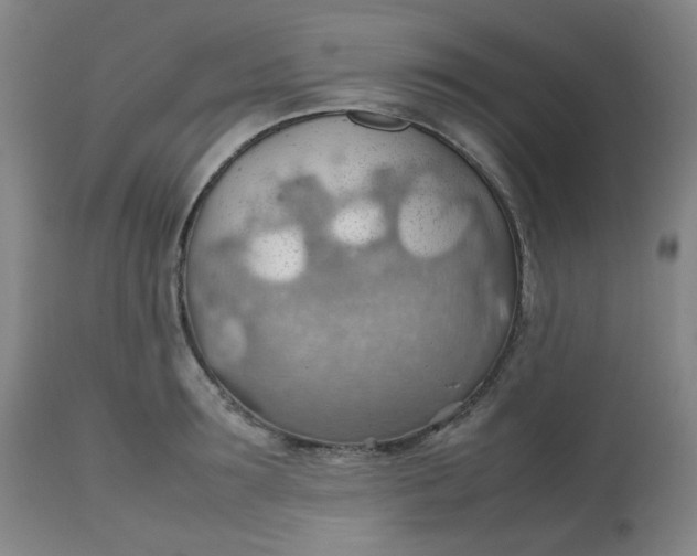 X0000112810899200909111257