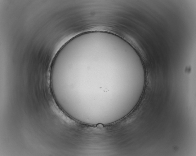 X0000112810900200909111257