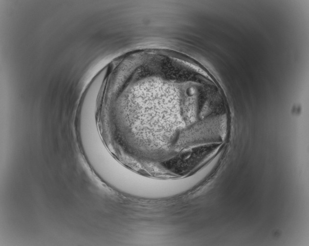 X0000112810901200909111257