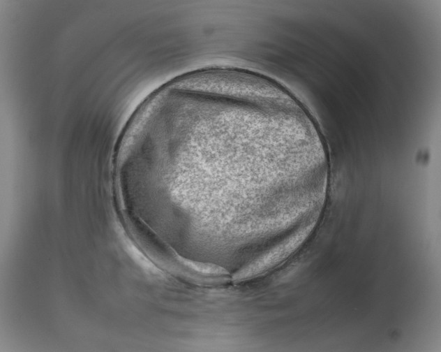 X0000112810903200909111256