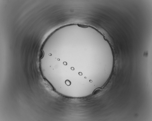 X0000112810904200909111256