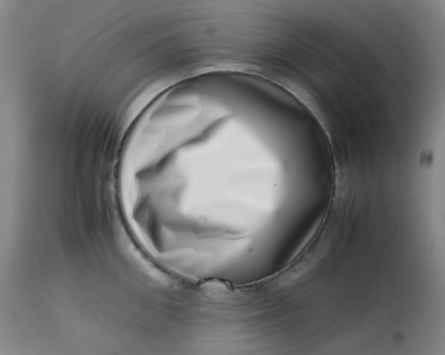 X0000112810906200909111256