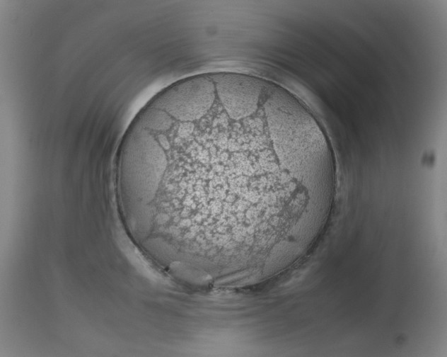 X0000112810907200909111256