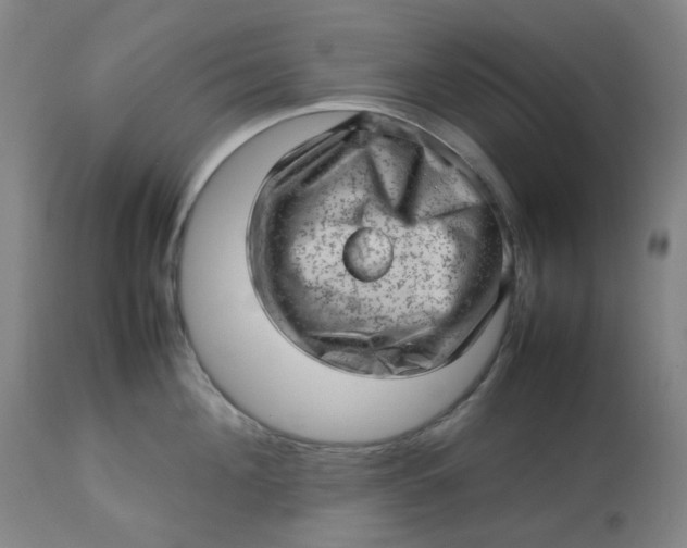 X0000112810908200909111256