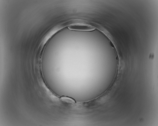 X0000112810909200909111256