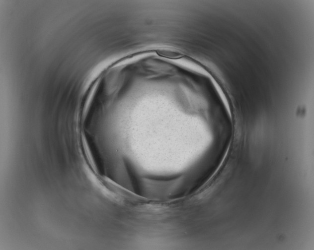 X0000112810910200909111256