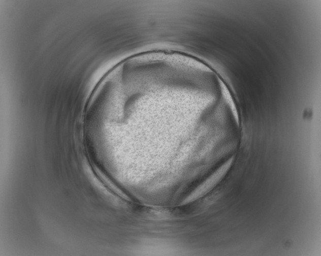 X0000112810911200909111256