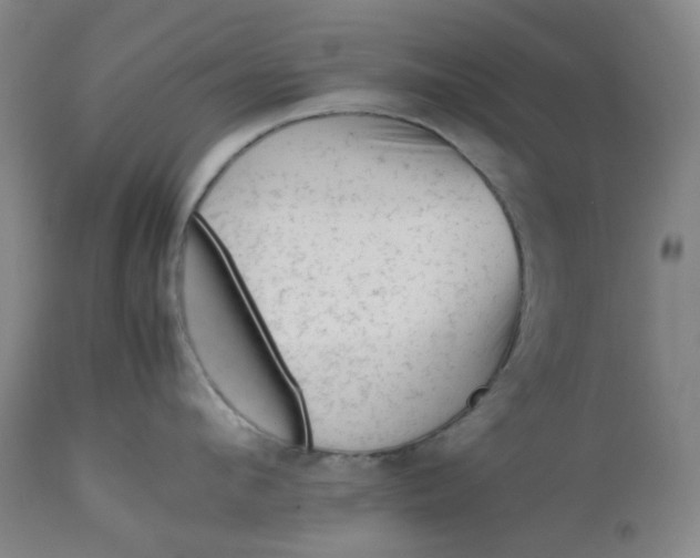 X0000112810912200909111256