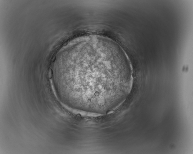 X0000112810913200909111256