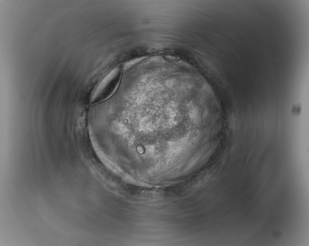 X0000112810914200909111256