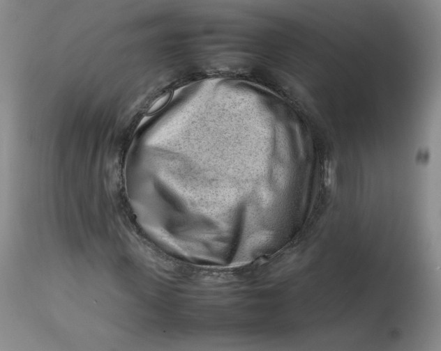 X0000112810915200909111256