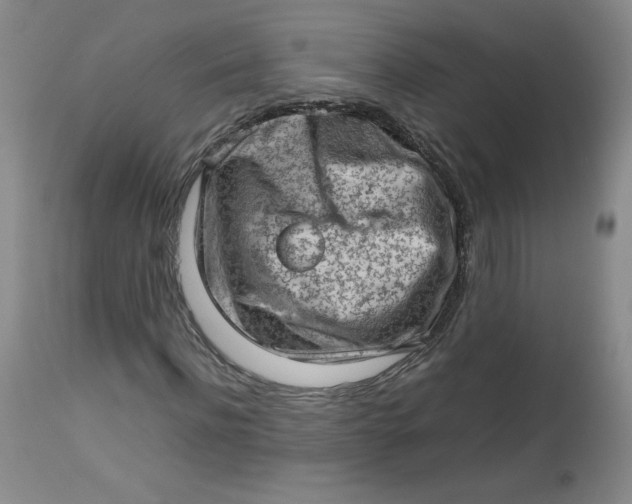 X0000112810916200909111256