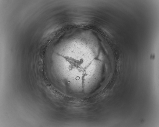 X0000112810917200909111256