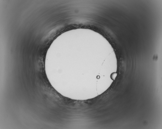 X0000112810918200909111256