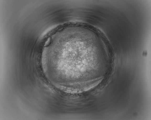 X0000112810919200909111256