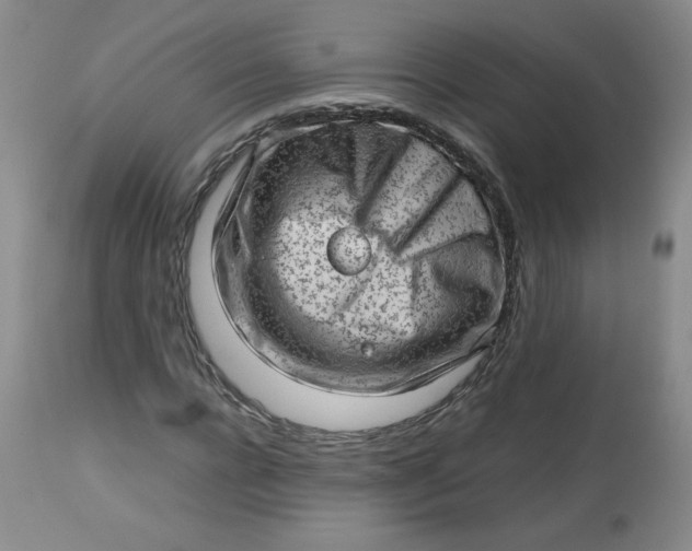 X0000112810920200909111256