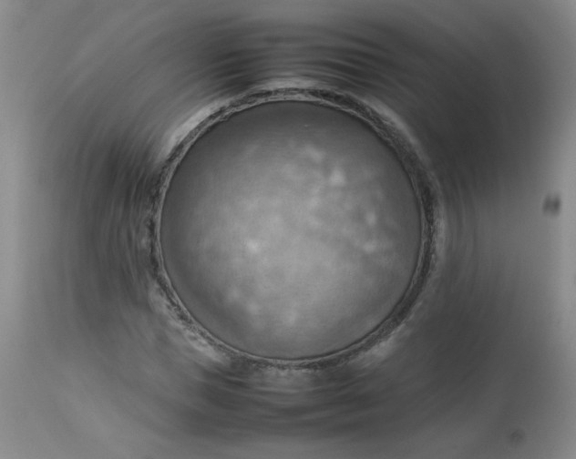 X0000112810921200909111256