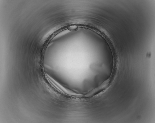 X0000112810922200909111256