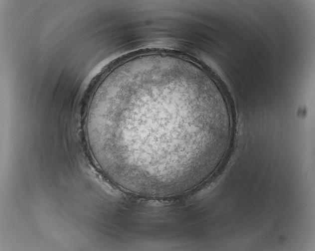 X0000112810923200909111256