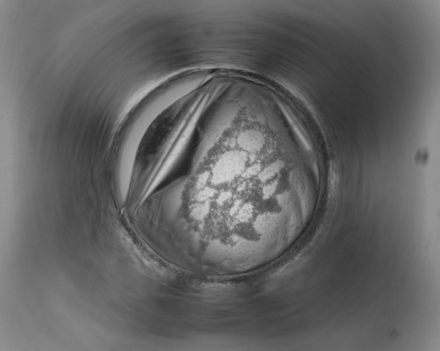 X0000112810925200909111256