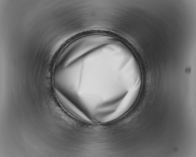 X0000112810926200909111256