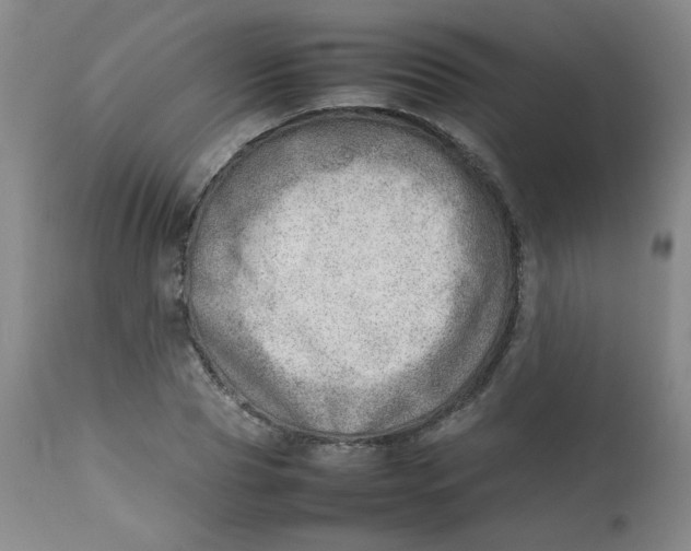 X0000112810929200909111256