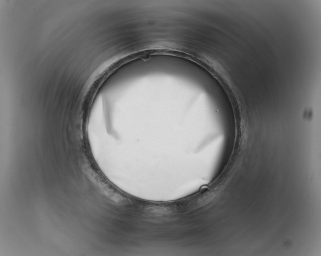 X0000112810931200909111256