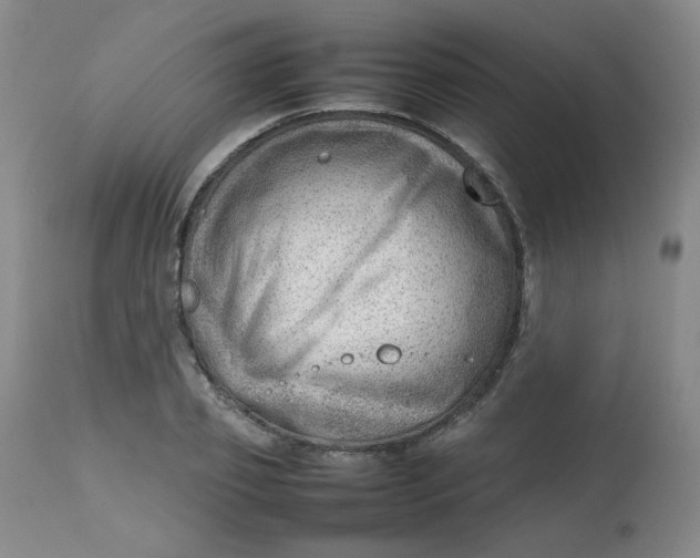 X0000112810933200909111256