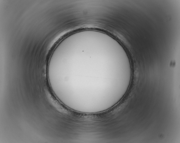 X0000112810934200909111256