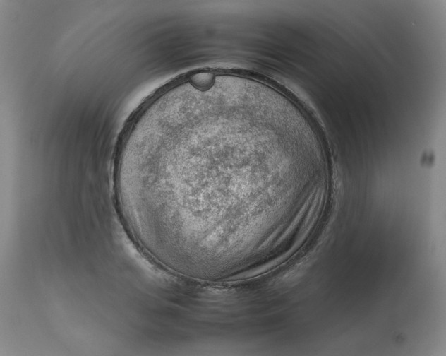 X0000112810935200909111256