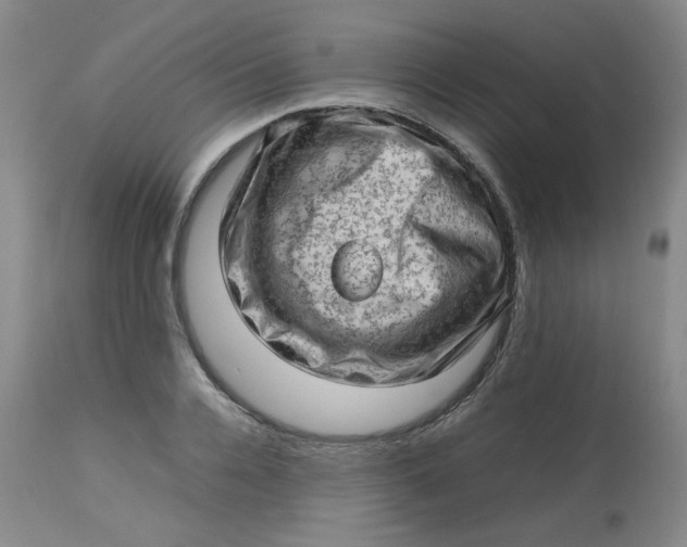 X0000112810936200909111256