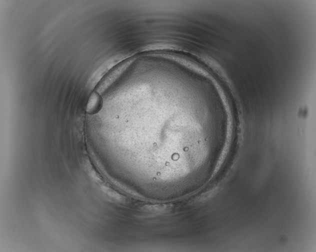 X0000112810937200909111256