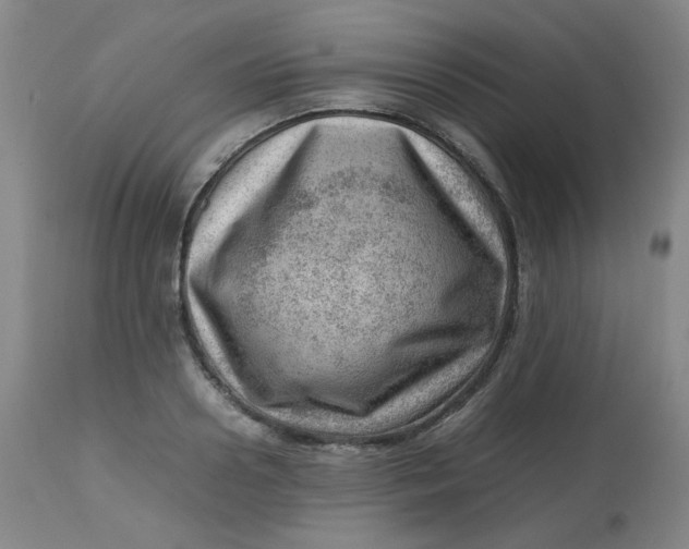 X0000112810938200909111256