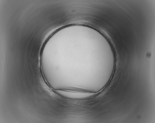 X0000112810940200909111256